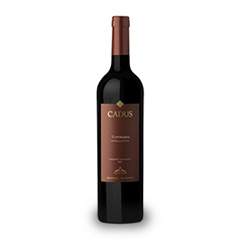 CADUS TUPUNGATO CABERNET SAUVIGNON 750ML
