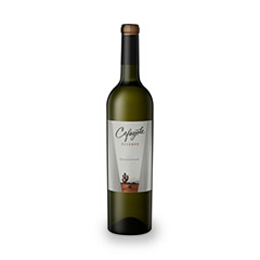 CAFAYATE CHARDO 750