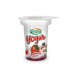 Yogur Parcialmente Descremado Con Frutos Manfrey 150 Gr.