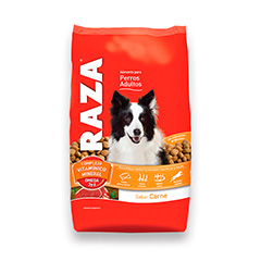 RAZA PERRO ADULTO CARNE 3KG