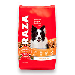 RAZA PERRO ADULTO CARNE 15KG