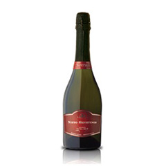 Champagne Nieto Senetiner Ext.Brut 750cc
