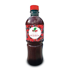 Jugo GERGAL - Mix de berries BOT-0.48-lt.