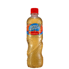 AGUA SIERRA DE LOS PADRES MANZANA 500 CC