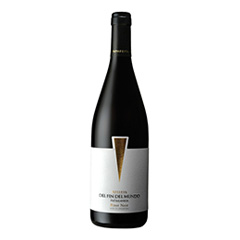 vino DEL FIN DEL MUNDO Pinot noir BOT-750-ml.