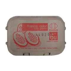 Huevos color El Mercado extra 6 uni